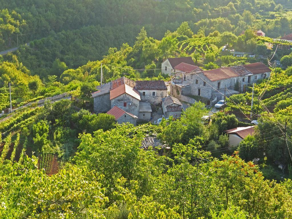 Estate & Winery San Duyevo Pension Rijeka Crnojevića Buitenkant foto