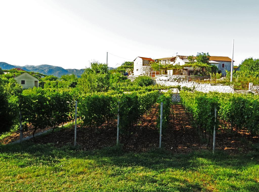 Estate & Winery San Duyevo Pension Rijeka Crnojevića Buitenkant foto