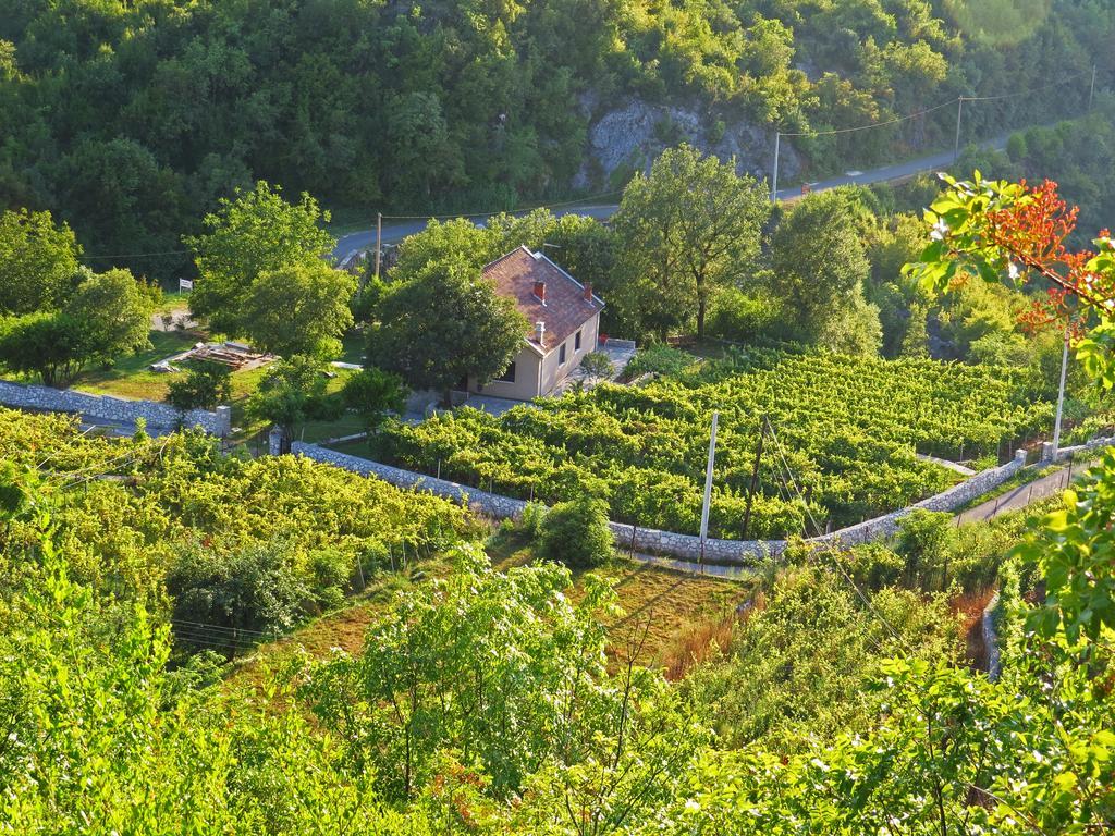 Estate & Winery San Duyevo Pension Rijeka Crnojevića Buitenkant foto