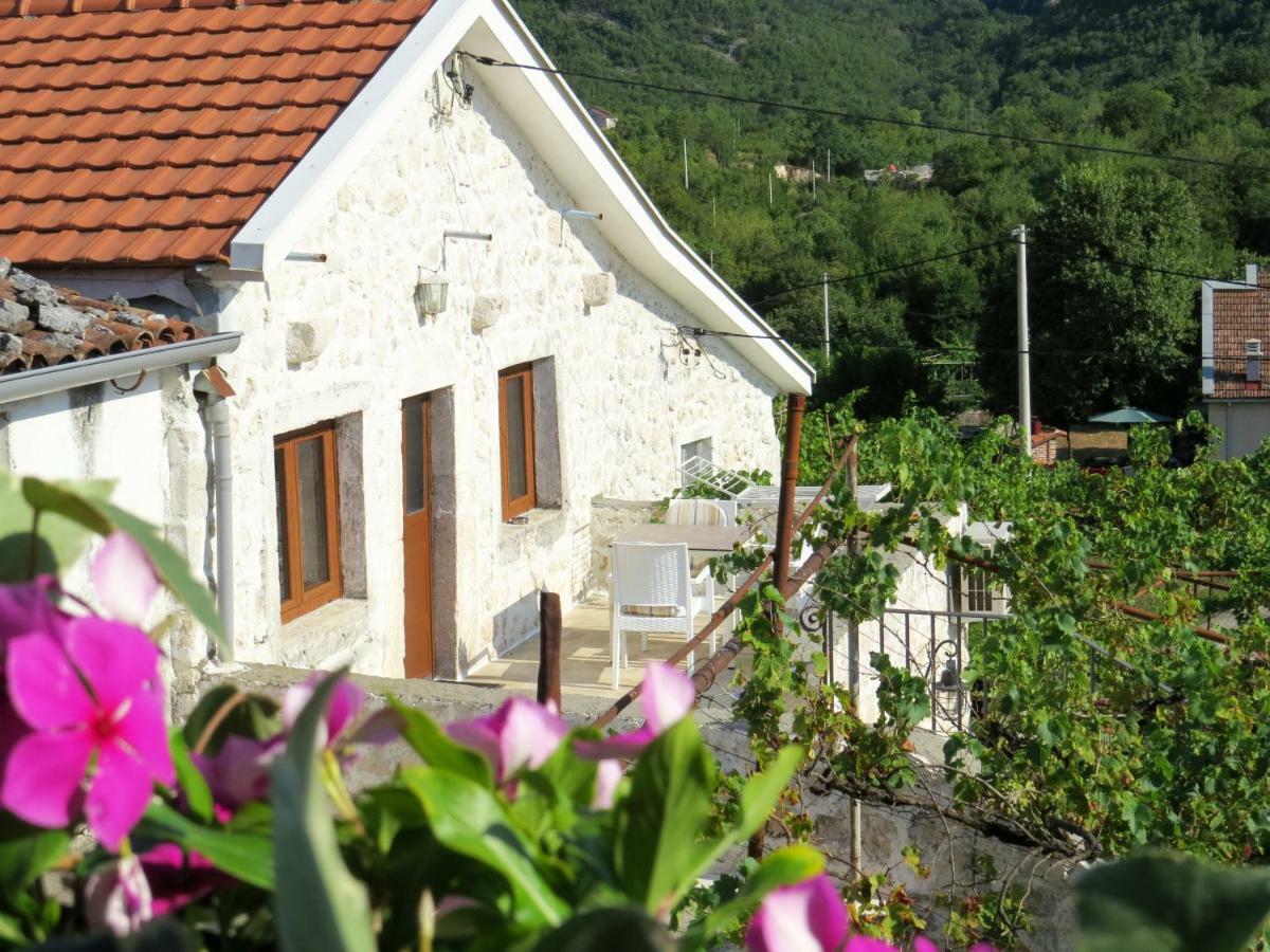 Estate & Winery San Duyevo Pension Rijeka Crnojevića Buitenkant foto