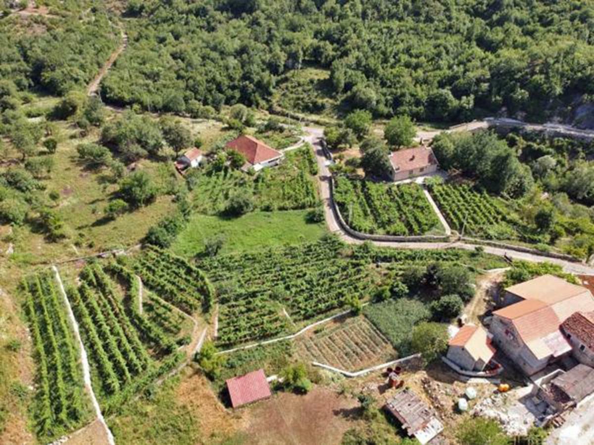 Estate & Winery San Duyevo Pension Rijeka Crnojevića Buitenkant foto